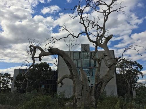 Часть 2. студенческое общежитие в Австралии. 09