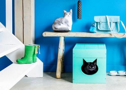 Оригинальные идеи. Как спрятать кошачий туалет. 05 Оригинальные идеи. Как спрятать кошачий туалет. 05