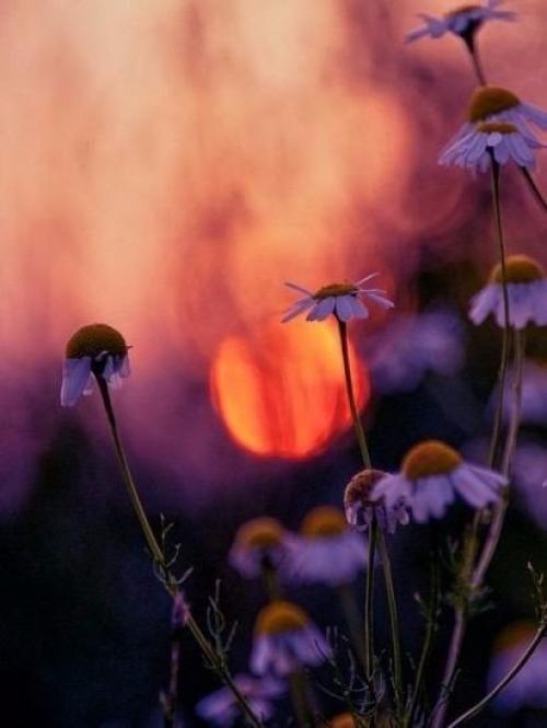 Жизнь безумно красива, когда начинаешь ее замечать. 05