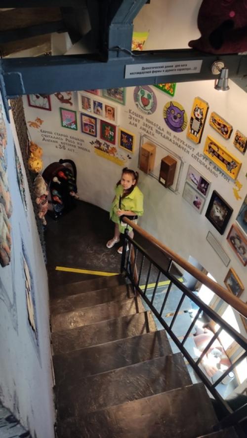 Мурариум - это частная арт - коллекция в Зеленоградске, в которой собранно более четырех с половиной тысяч предметов с изображением котиков. 06