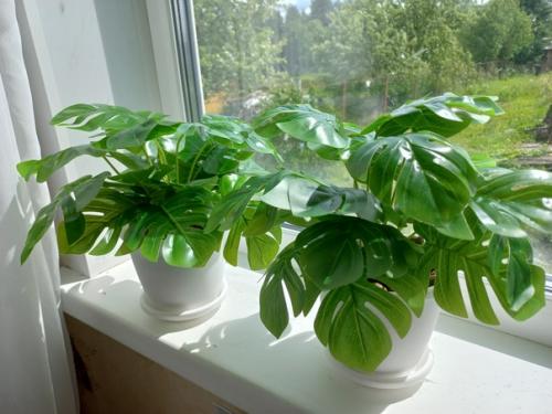 Монстера в кашпо декоративная искусственная. 08