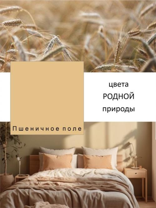 Топ - 7 трендовых оттенков для интерьера в 2025 году. 02 Топ - 7 трендовых оттенков для интерьера в 2025 году. 02