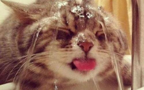 10 советов, которые помогут пережить жару.