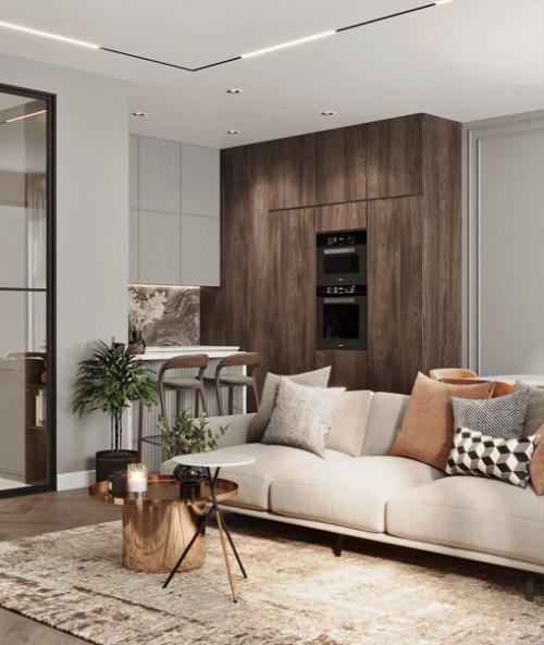 Модный терракотовый в дизайн - проекте кухни - гостиной. 05