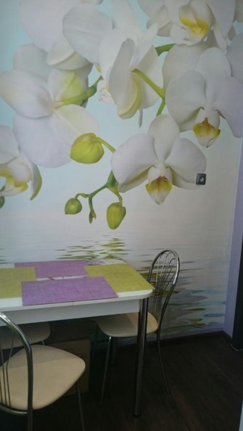 Бюджетный ремонт на быструю руку (19 дней), кухня 5, 4 кв. 04