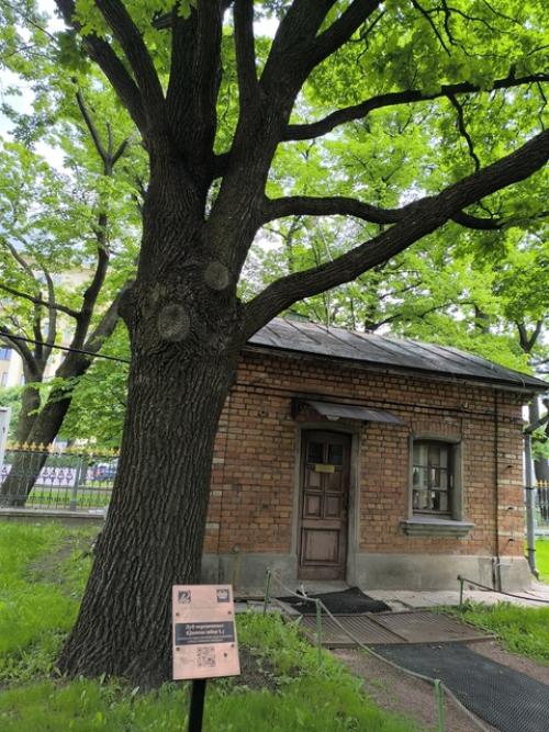 Побывала в первой постройке в Санкт-петербурге. 08