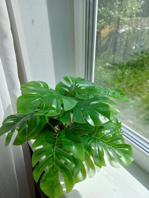 Монстера в кашпо декоративная искусственная. 02