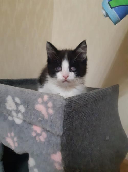 Малыш дом ищет! 01