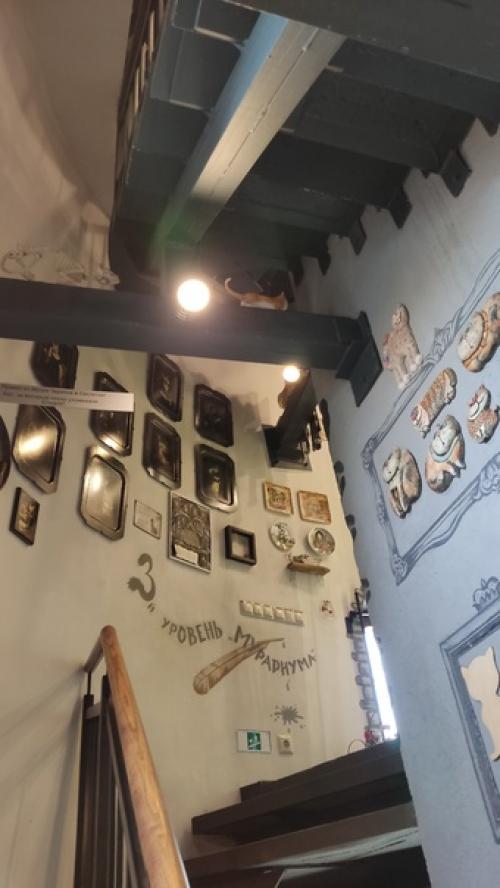 Мурариум - это частная арт - коллекция в Зеленоградске, в которой собранно более четырех с половиной тысяч предметов с изображением котиков. 05