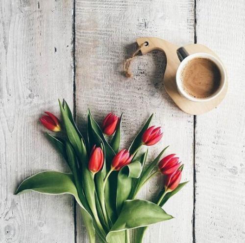 Что делать на ДАЧЕ? 01