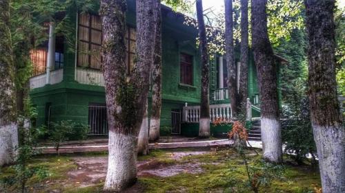 Дача сталина на озере Рица. 01