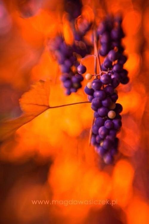 Жизнь безумно красива, когда начинаешь ее замечать. 02