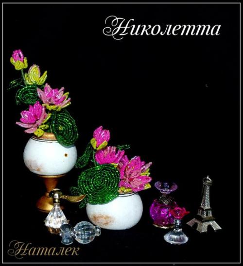 Николетта. Почему свинка Николетта? 01