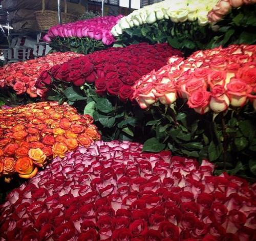 6 полезных и дешёвых московских рынков. 02