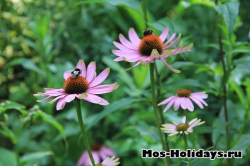 Топ 10 мест, которые обязательно нужно посетить в Москве! 03