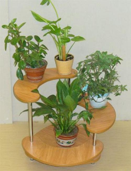 Расположение цветов в комнатах. 05