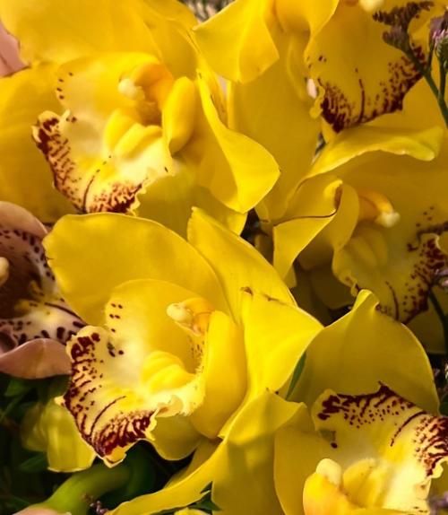 Желтый цвет - это цвет, который напоминает о солнце, наполняет энергией, заряжает оптимизмом, дарит хорошее настроение и радость. 03