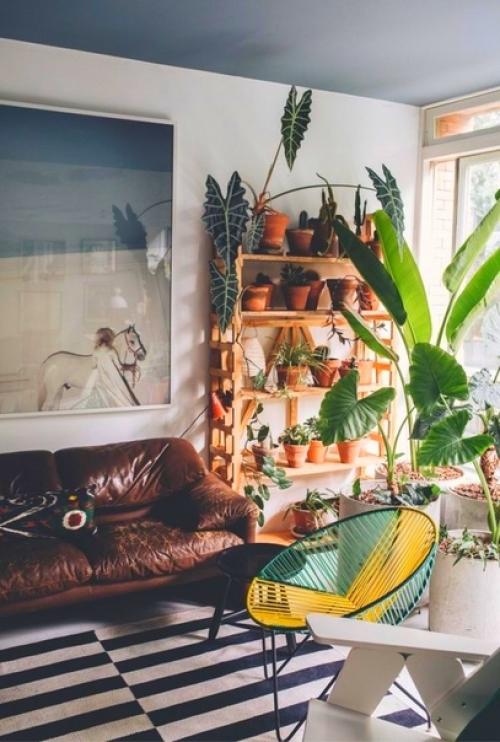 Простые приёмы оформления интерьера с помощью растений. 08 Простые приёмы оформления интерьера с помощью растений. 08