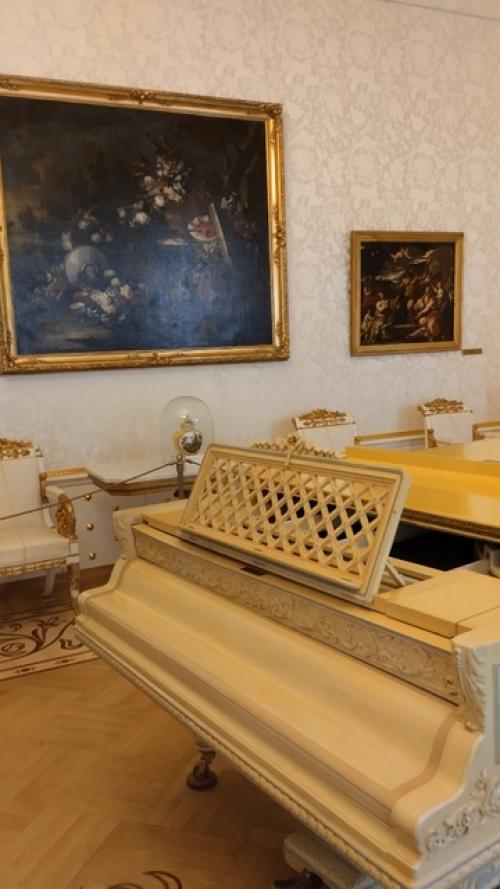 Шереметьевский дворец ( фонтанный дом) - ровесник северной столицы. 06