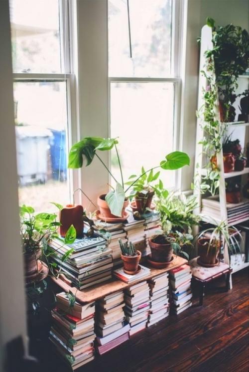 Простые приёмы оформления интерьера с помощью растений. 03 Простые приёмы оформления интерьера с помощью растений. 03