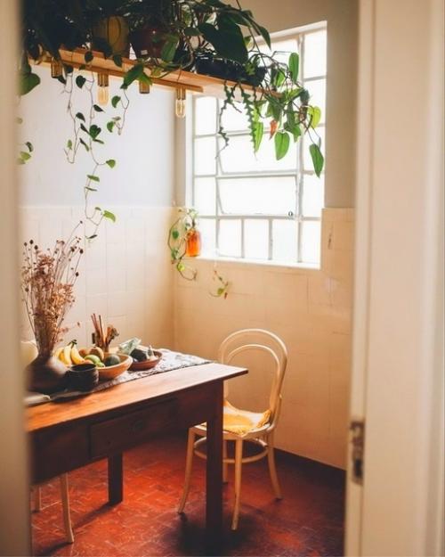 Простые приёмы оформления интерьера с помощью растений. 05 Простые приёмы оформления интерьера с помощью растений. 05