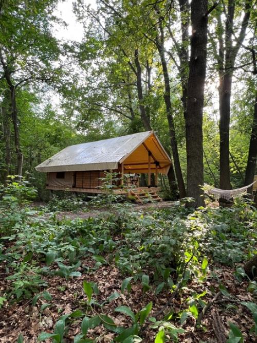 Лесные тент - хаусы открыты! 04