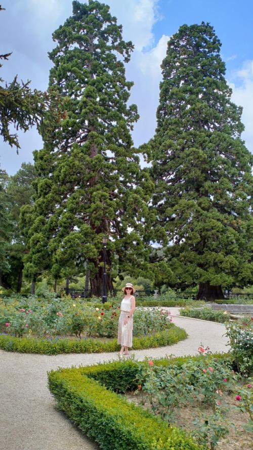 Маленькая Франция - так называют туристы. 08