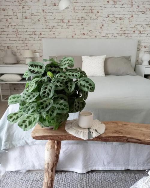 Как же приятно жить в доме с зеленью и деревянной мебелью, и все на это белом фоне! 04