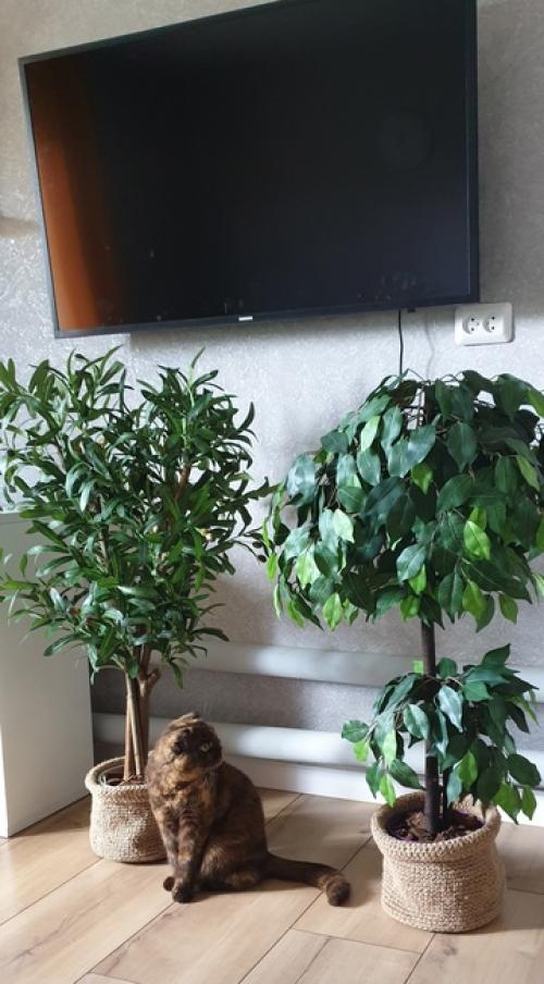 Минимум ухода и красота каждый день. 01