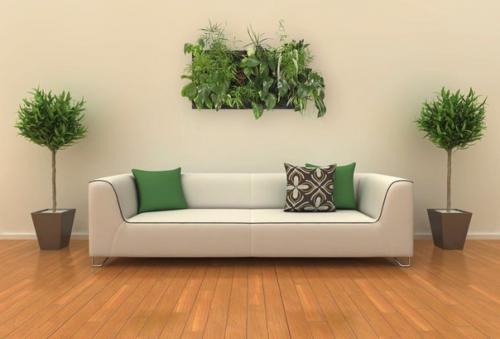 10 лучших домашних растений, не требующих ухода. 07