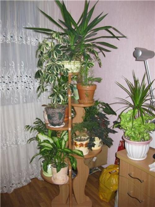 Расположение цветов в комнатах. 03