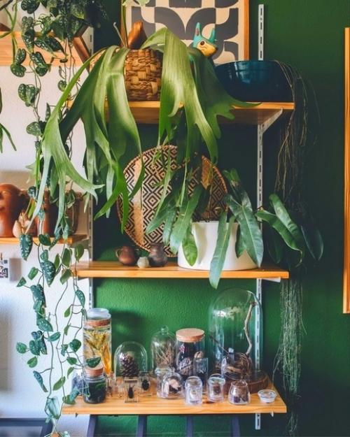 Простые приёмы оформления интерьера с помощью растений. 09 Простые приёмы оформления интерьера с помощью растений. 09