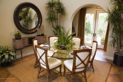 10 лучших домашних растений, не требующих ухода. 02