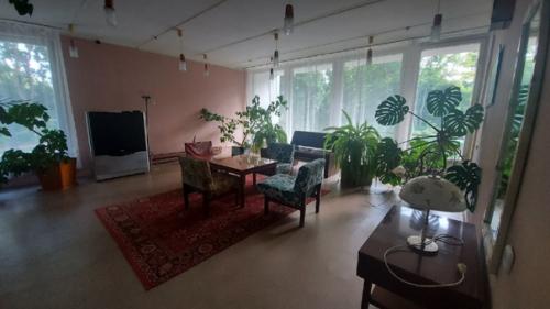 В борке в эти выходные проходил форум сельской молодежи Голос Села. 06