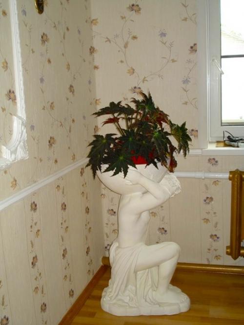 Расположение цветов в комнатах. 06