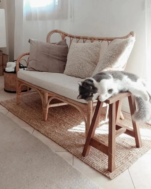 Как же приятно жить в доме с зеленью и деревянной мебелью, и все на это белом фоне! 03