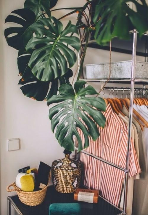 Простые приёмы оформления интерьера с помощью растений. 02 Простые приёмы оформления интерьера с помощью растений. 02