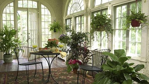Зимний сад. Рай для ботаников или стиль жизни? 01 Зимний сад. Рай для ботаников или стиль жизни? 01