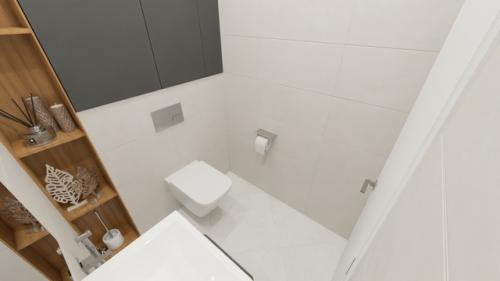 Новый дизайн - проект раздельного санузла в спокойных тонах. 03