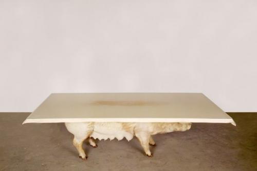 Странная мебель призывающая от поедания мяса отказаться. 02