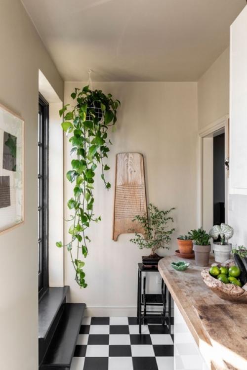 Модный вызов: новая роль комнатных растений в интерьере. 08