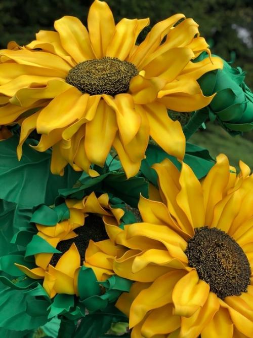 Как же хочется иметь свое красивое желтое солнышко у себя дома у нас распустился подсолнух. 04