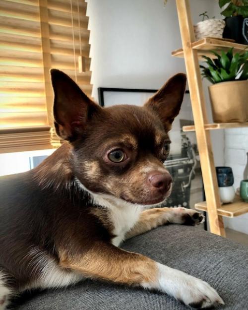 Детали интерьера уютного дома в Польше. 07