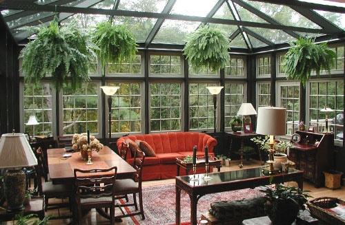 Зимний сад. Рай для ботаников или стиль жизни? 02 Зимний сад. Рай для ботаников или стиль жизни? 02