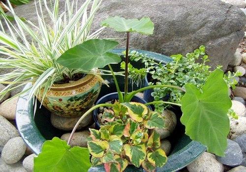 Как сделать минипруд на даче своими руками. 04