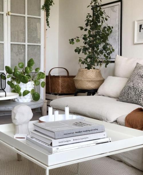 Модный вызов: новая роль комнатных растений в интерьере. 04