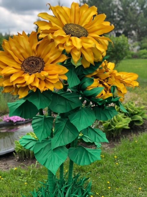 Как же хочется иметь свое красивое желтое солнышко у себя дома у нас распустился подсолнух. 07