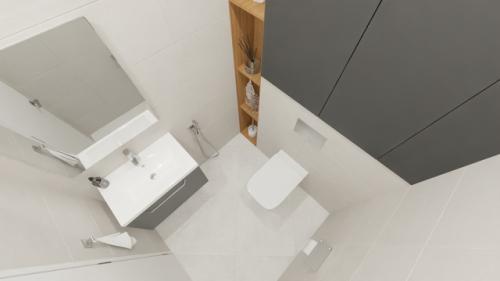 Новый дизайн - проект раздельного санузла в спокойных тонах. 01