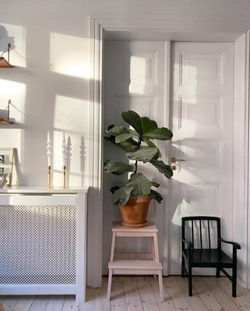 Модный вызов: новая роль комнатных растений в интерьере. 07