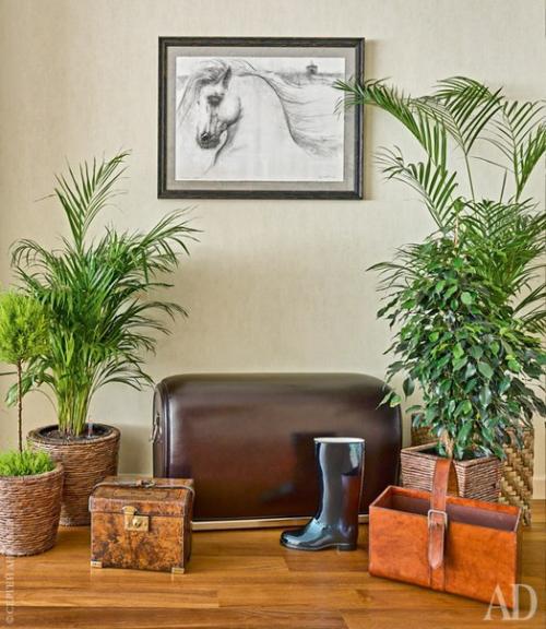 Мечтаете наслаждаться природной красотой не только за окном квартиры вЖК Май, но и у себя дома? 05